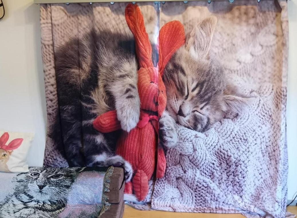 Tokyo Shibuya Shinjyuku Cat House ! Apartment Екстериор снимка