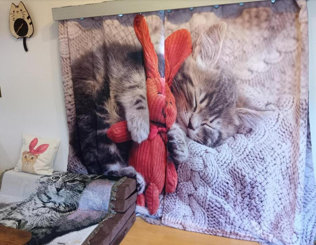 Tokyo Shibuya Shinjyuku Cat House ! Apartment Екстериор снимка