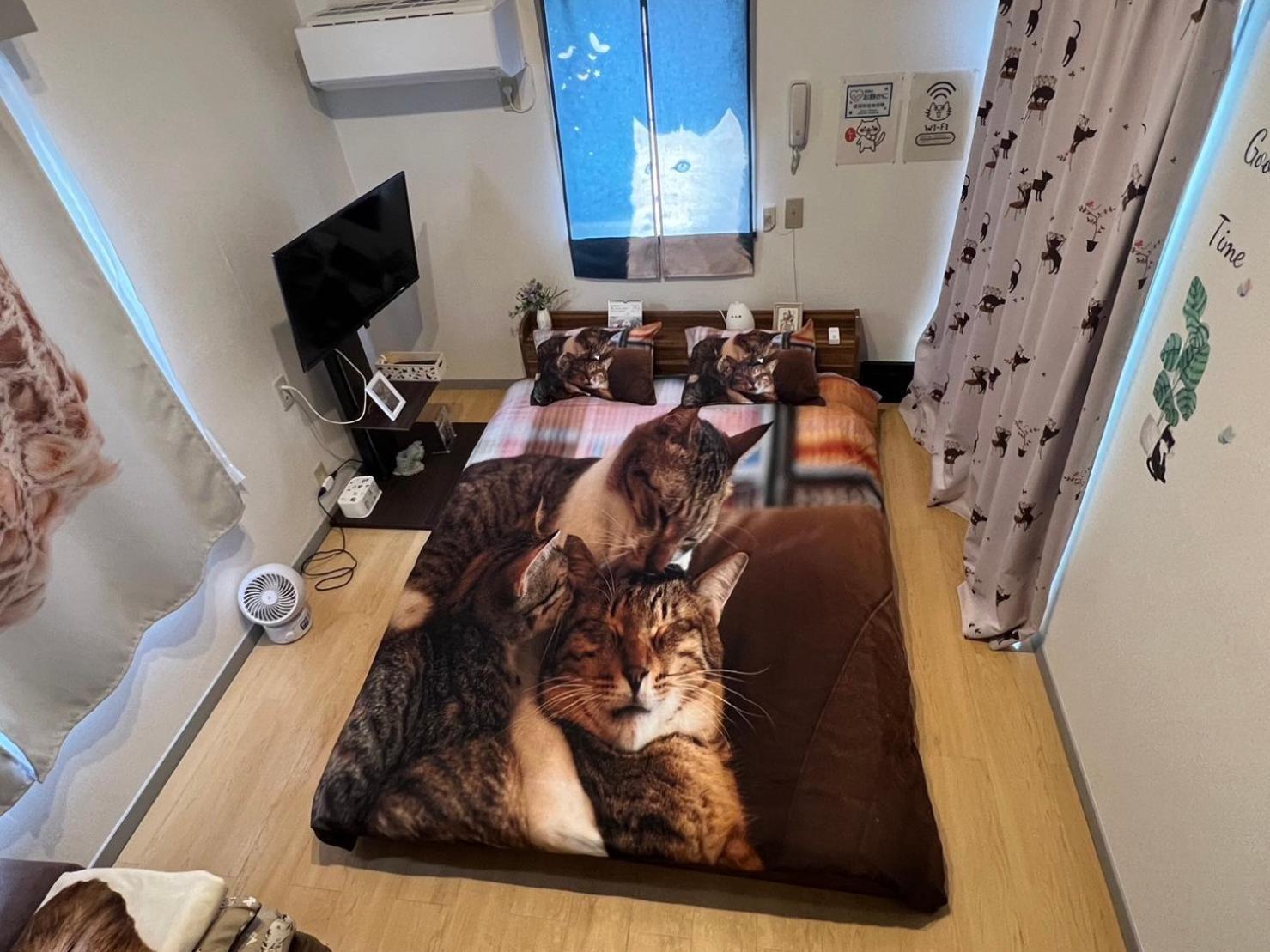 Tokyo Shibuya Shinjyuku Cat House ! Apartment Екстериор снимка
