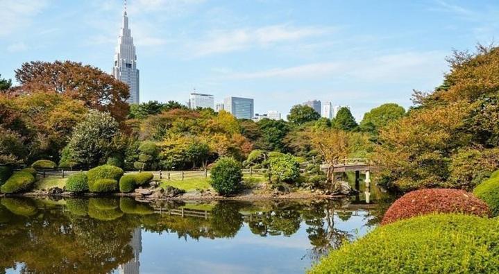 Tokyo Shibuya Shinjyuku Cat House ! Apartment Екстериор снимка